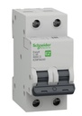 [EXTRA-02458] INTERRUPTOR TERMOMAGNETICO EASY9 2 POLOS 50 AMPERS 