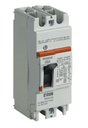 [EXTRA-02535] INTERRUPTOR TERMOMAGNETICO DE 2 POLO A 15 AMP MOLDEABLE